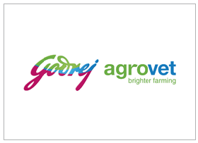 Screenshot 2025-07-16 162852